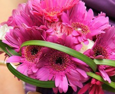 Serendipity Floral Designs