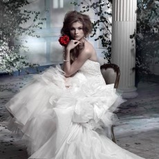 Shropshire Country Brides