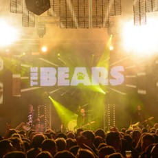 The Bears