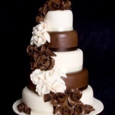 Special Day Cakes